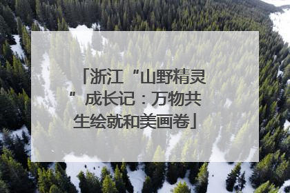 浙江“山野精灵”成长记：万物共生绘就和美画卷