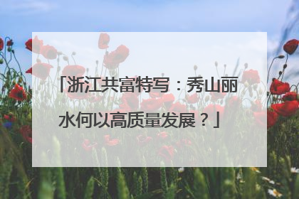浙江共富特写：秀山丽水何以高质量发展？