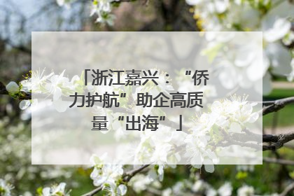 浙江嘉兴：“侨力护航”助企高质量“出海”