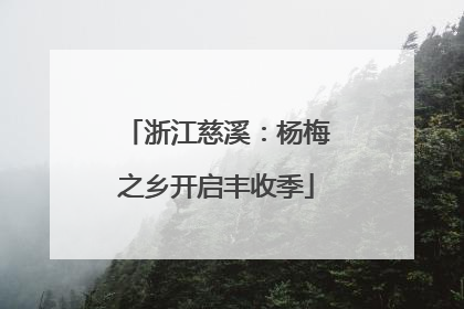浙江慈溪：杨梅之乡开启丰收季