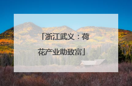 浙江武义：荷花产业助致富