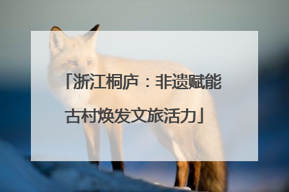 浙江桐庐：非遗赋能古村焕发文旅活力