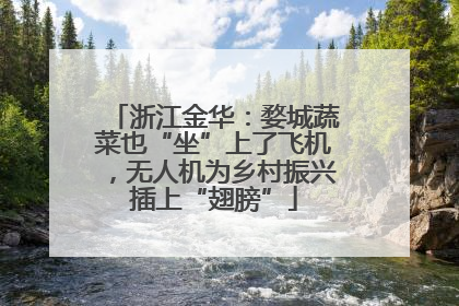 浙江金华：婺城蔬菜也“坐”上了飞机，无人机为乡村振兴插上“翅膀”