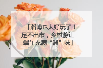 淄博也太好玩了！足不出市，乡村游让端午充满“淄”味