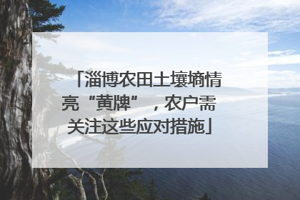 淄博农田土壤墒情亮“黄牌”，农户需关注这些应对措施
