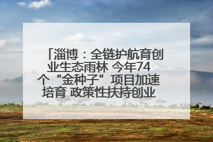 淄博：全链护航育创业生态雨林 今年74个“金种子”项目加速培育 政策性扶持创业9754人