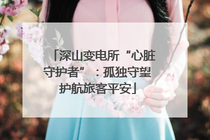 深山变电所“心脏守护者”：孤独守望护航旅客平安