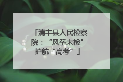 清丰县人民检察院：“风筝未检”护航“高考”