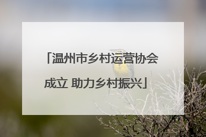 温州市乡村运营协会成立 助力乡村振兴