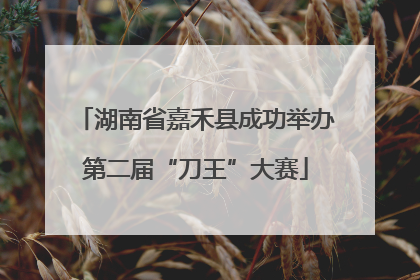 湖南省嘉禾县成功举办第二届“刀王”大赛