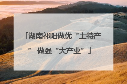 湖南祁阳做优“土特产” 做强“大产业”