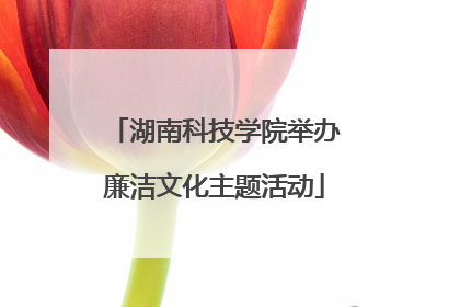 湖南科技学院举办廉洁文化主题活动