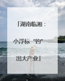 湖南临湘：小浮标“钓”出大产业