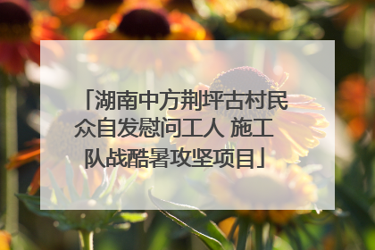湖南中方荆坪古村民众自发慰问工人 施工队战酷暑攻坚项目