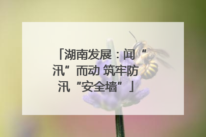 湖南发展：闻“汛”而动 筑牢防汛“安全墙”