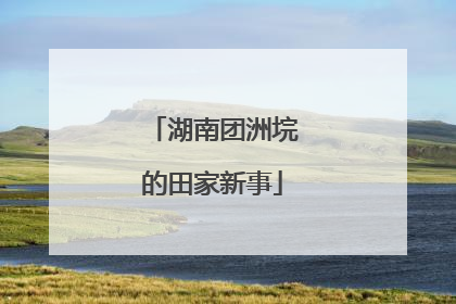 湖南团洲垸的田家新事