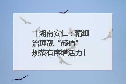 湖南安仁：精细治理靓“颜值” 规范有序增活力