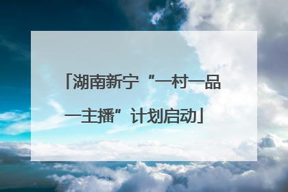 湖南新宁“一村一品一主播”计划启动