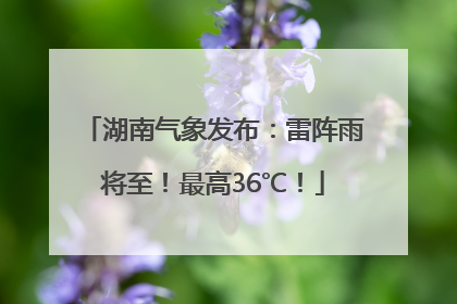 湖南气象发布：雷阵雨将至！最高36℃！