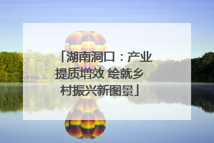 湖南洞口：产业提质增效 绘就乡村振兴新图景