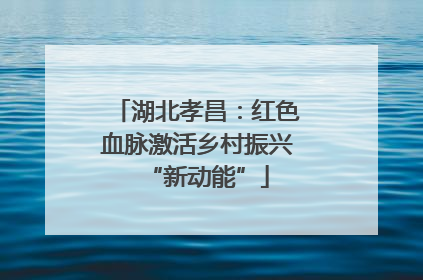 湖北孝昌：红色血脉激活乡村振兴“新动能”