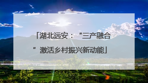 湖北远安：“三产融合”激活乡村振兴新动能