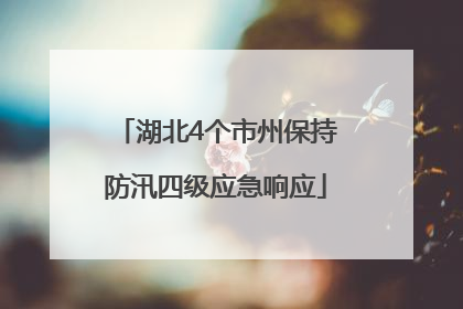 湖北4个市州保持防汛四级应急响应