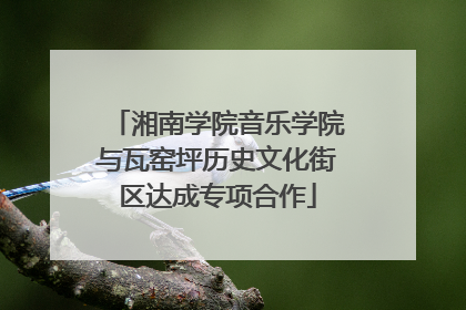 湘南学院音乐学院与瓦窑坪历史文化街区达成专项合作