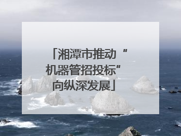 湘潭市推动“机器管招投标”向纵深发展