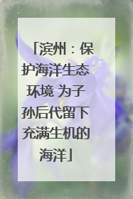 滨州：保护海洋生态环境 为子孙后代留下充满生机的海洋