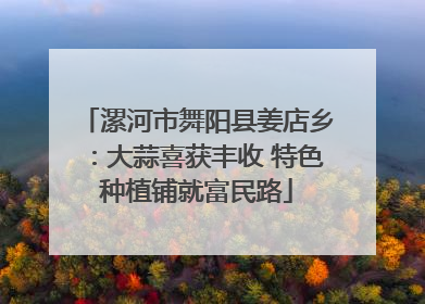 漯河市舞阳县姜店乡：大蒜喜获丰收 特色种植铺就富民路
