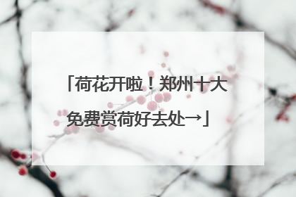 荷花开啦！郑州十大免费赏荷好去处→