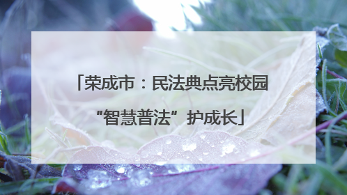 荣成市：民法典点亮校园 “智慧普法”护成长