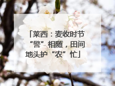 莱西：麦收时节“警”相随，田间地头护“农”忙