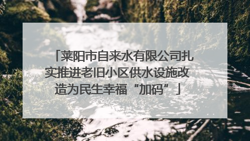 莱阳市自来水有限公司扎实推进老旧小区供水设施改造为民生幸福“加码”