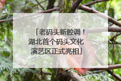 老码头新腔调！湖北首个码头文化演艺区正式亮相