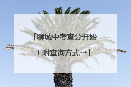 聊城中考查分开始！附查询方式→