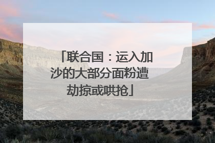 联合国：运入加沙的大部分面粉遭劫掠或哄抢