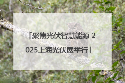 聚焦光伏智慧能源 2025上海光伏展举行