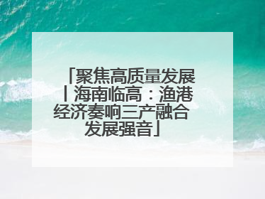 聚焦高质量发展丨海南临高：渔港经济奏响三产融合发展强音