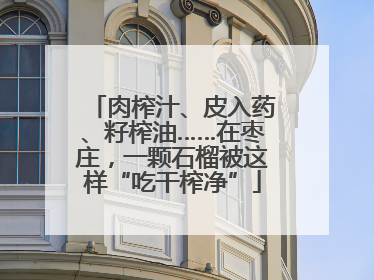 肉榨汁、皮入药、籽榨油……在枣庄，一颗石榴被这样“吃干榨净”