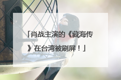 肖战主演的《藏海传》在台湾被刷屏！