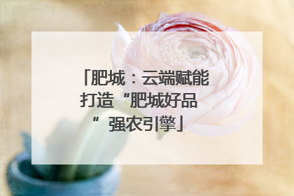 肥城：云端赋能 打造“肥城好品”强农引擎