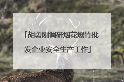 胡勇刚调研烟花爆竹批发企业安全生产工作
