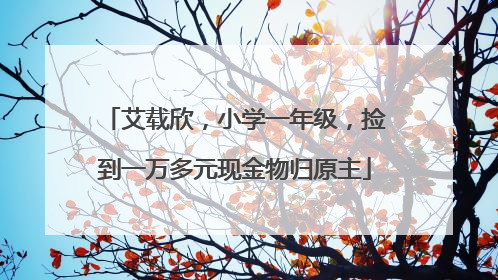艾载欣，小学一年级，捡到一万多元现金物归原主