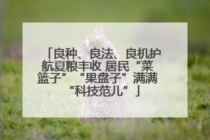 良种、良法、良机护航夏粮丰收 居民“菜篮子”“果盘子”满满“科技范儿”