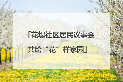 花堤社区居民议事会共绘“花”样家园