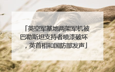 英空军基地两架军机被巴勒斯坦支持者喷漆破坏，英首相和国防部发声