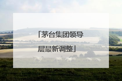 茅台集团领导层最新调整