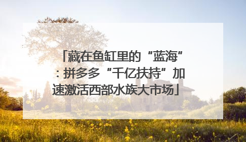 藏在鱼缸里的“蓝海”：拼多多“千亿扶持”加速激活西部水族大市场